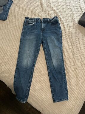 Driftwood Women's Blue Jeans - Slim Fit